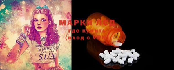 дмт Вяземский