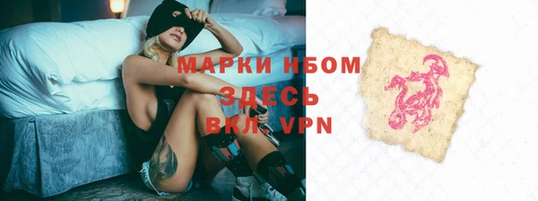 стаф Вязьма