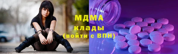 стаф Вязьма