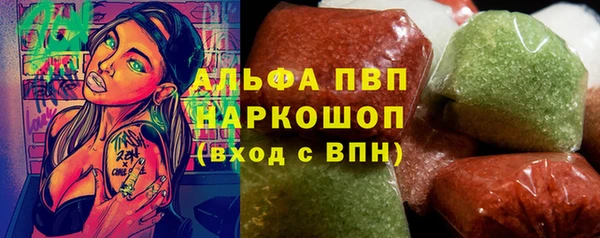 стаф Вязьма