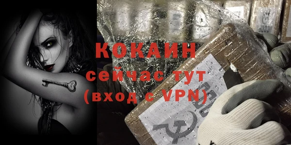 дмт Вяземский