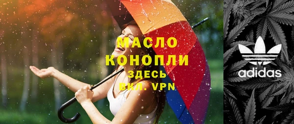 дмт Вяземский