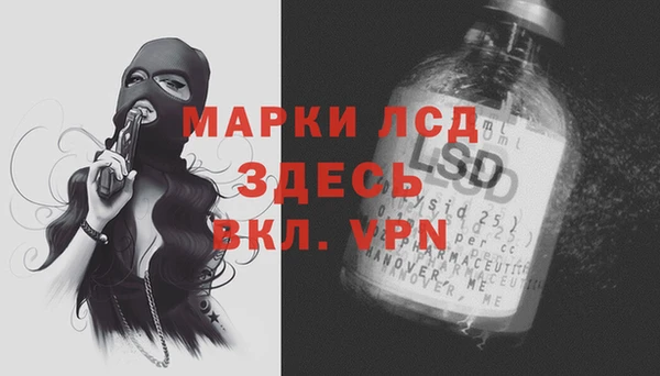 стаф Вязьма