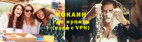дмт Вяземский